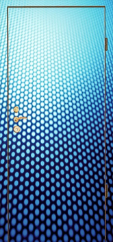 Дверь с фотопечатью №10